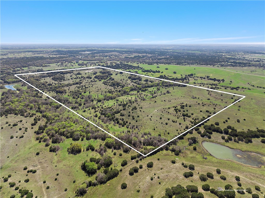 TBD Tract 1 126.39 Acres Dan Morgan Road, China Spring, Texas image 4