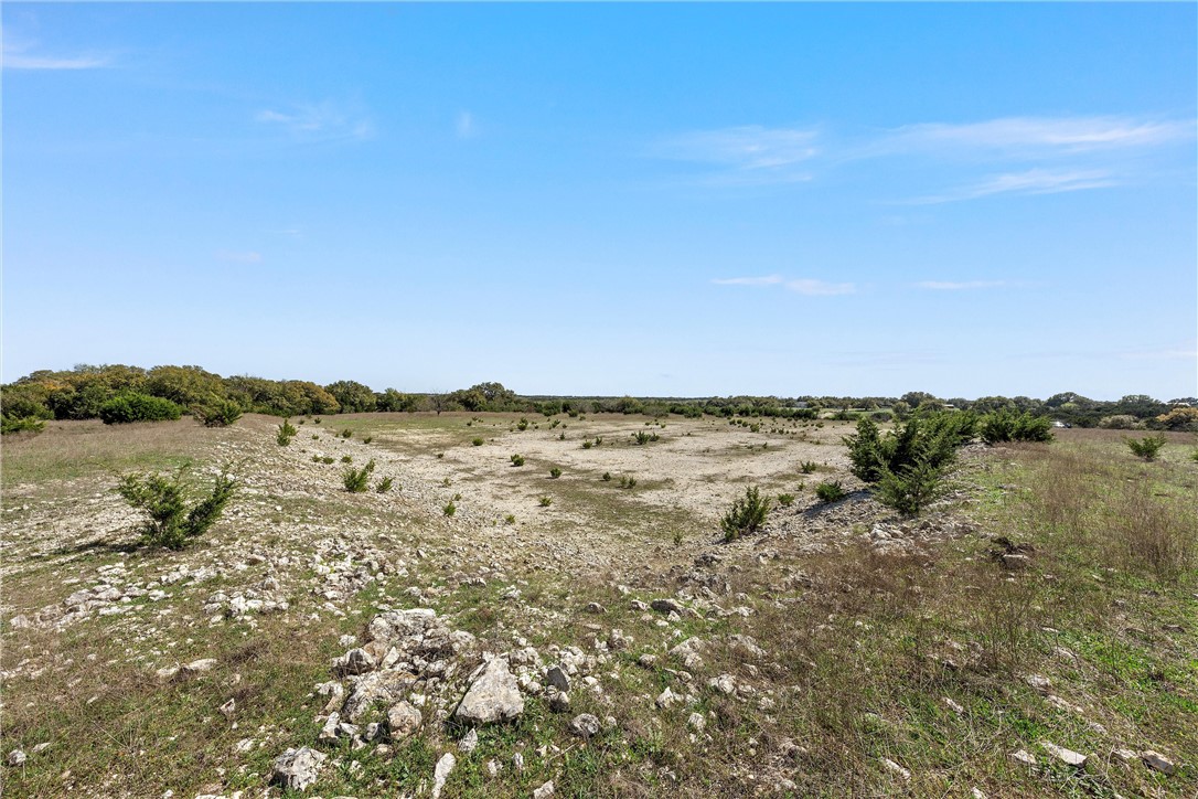 TBD Tract 1 126.39 Acres Dan Morgan Road, China Spring, Texas image 26