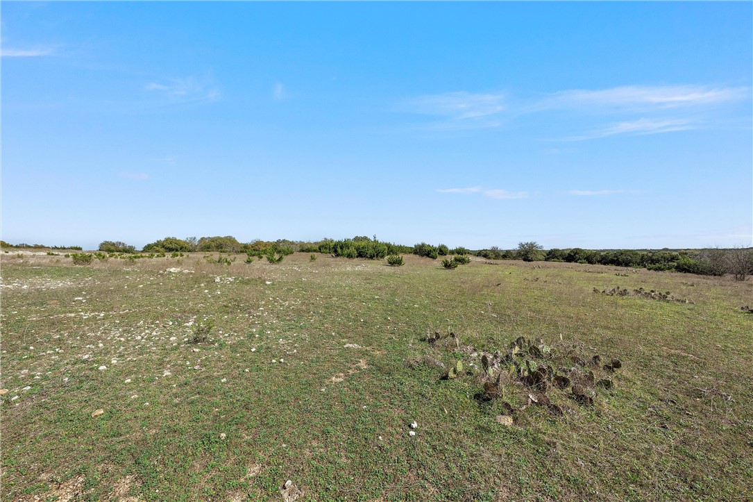 TBD Tract 1 126.39 Acres Dan Morgan Road, China Spring, Texas image 24