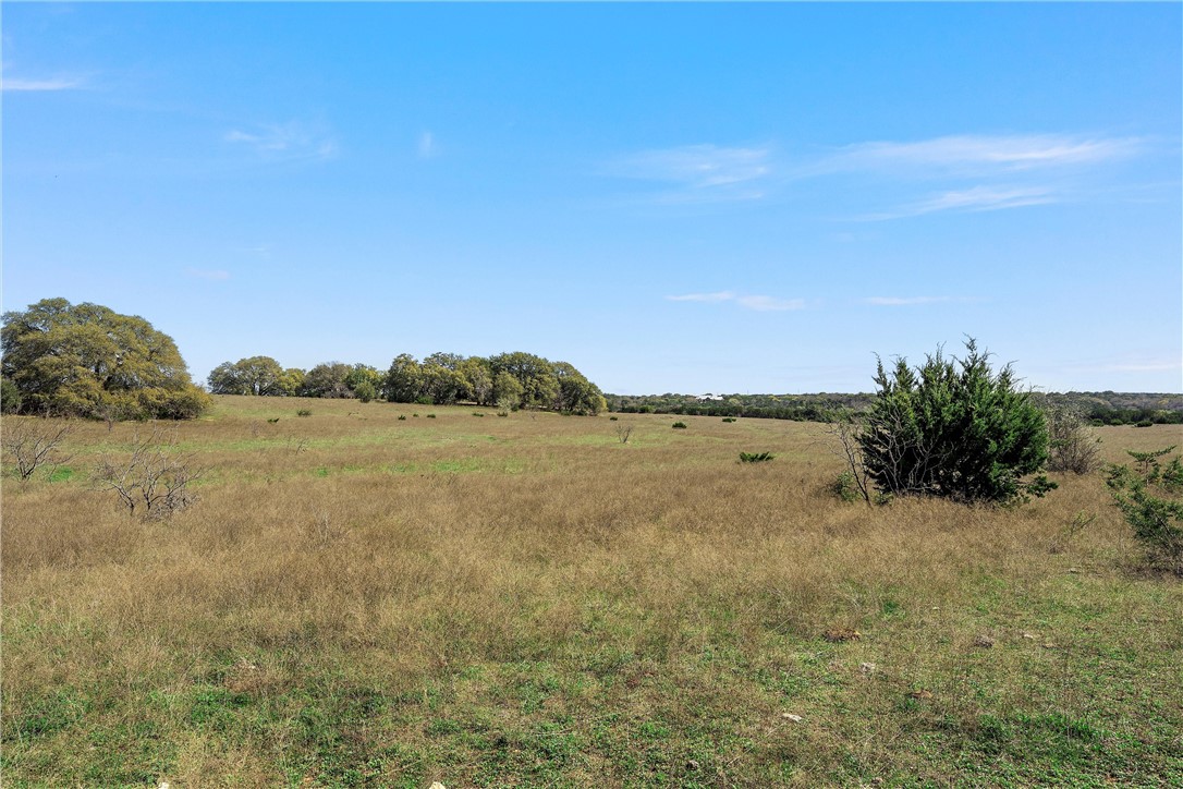 TBD Tract 1 126.39 Acres Dan Morgan Road, China Spring, Texas image 20