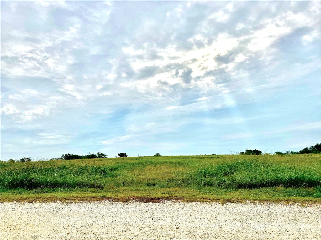 000 Mockingbird Drive, Mount Calm, Texas image 4