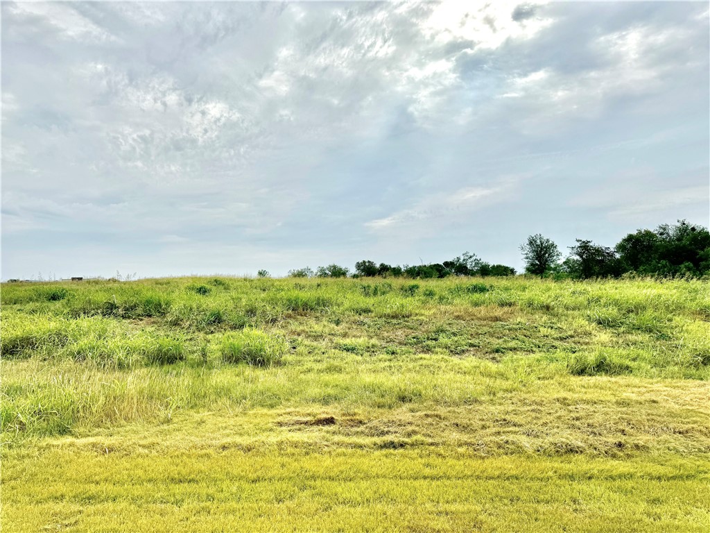 000 Mockingbird Drive, Mount Calm, Texas image 12