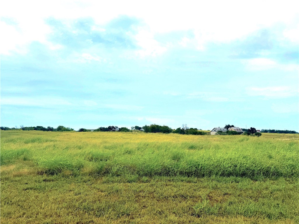 000 Mockingbird Drive, Mount Calm, Texas image 13