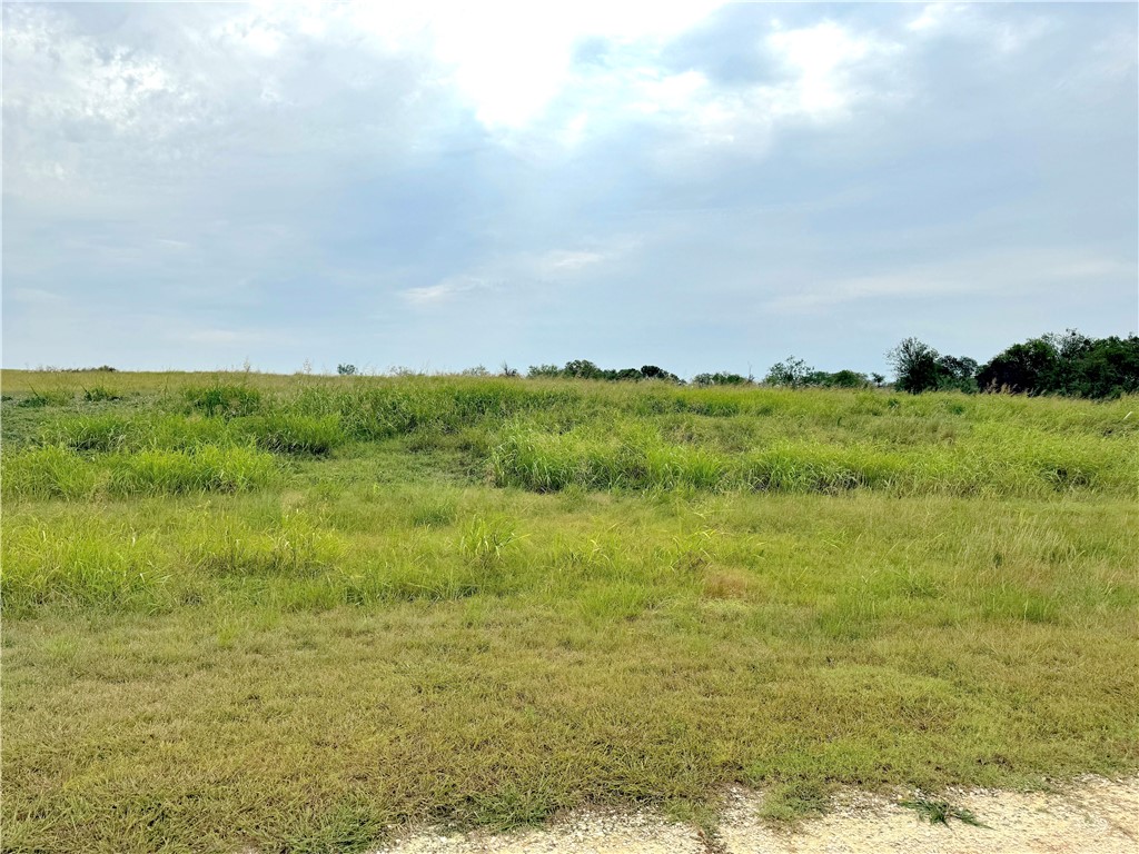 000 Mockingbird Drive, Mount Calm, Texas image 9