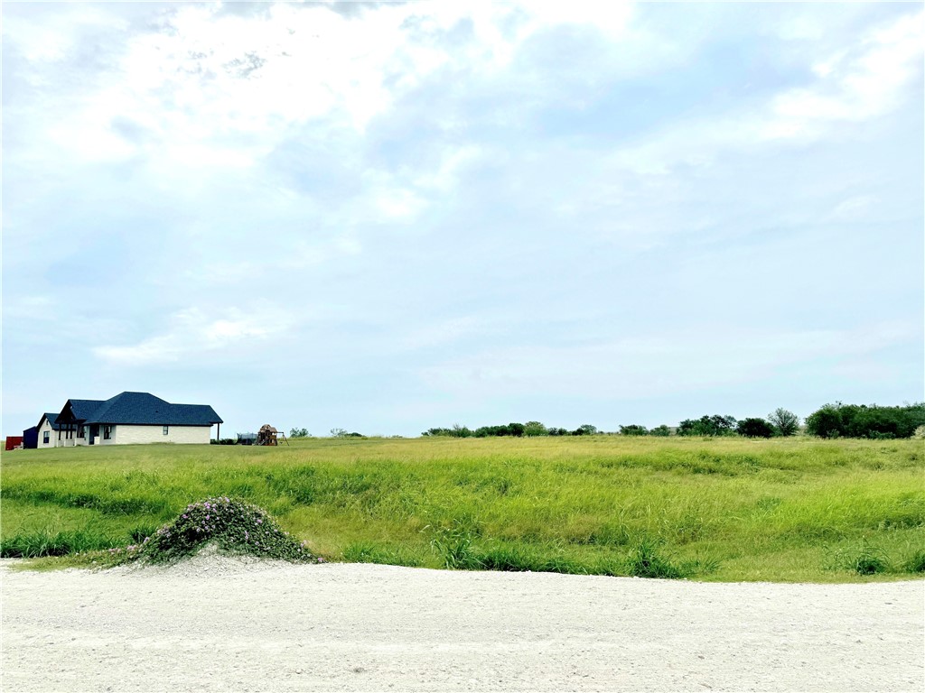 000 Mockingbird Drive, Mount Calm, Texas image 3