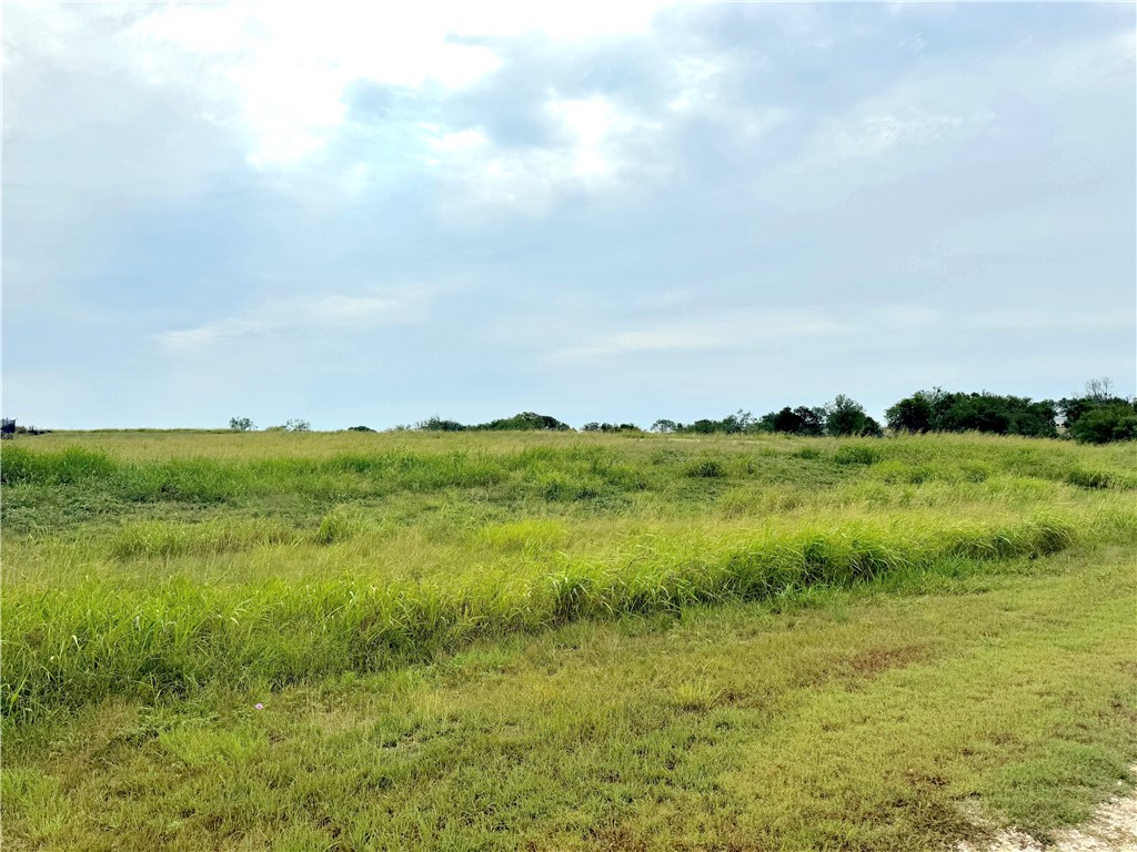 000 Mockingbird Drive, Mount Calm, Texas image 8