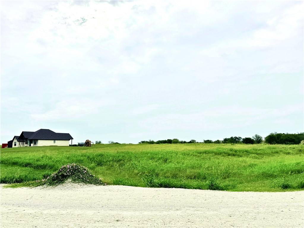 000 Mockingbird Drive, Mount Calm, Texas image 14