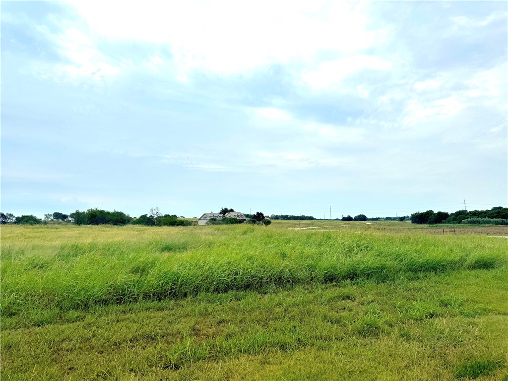 000 Mockingbird Drive, Mount Calm, Texas image 5