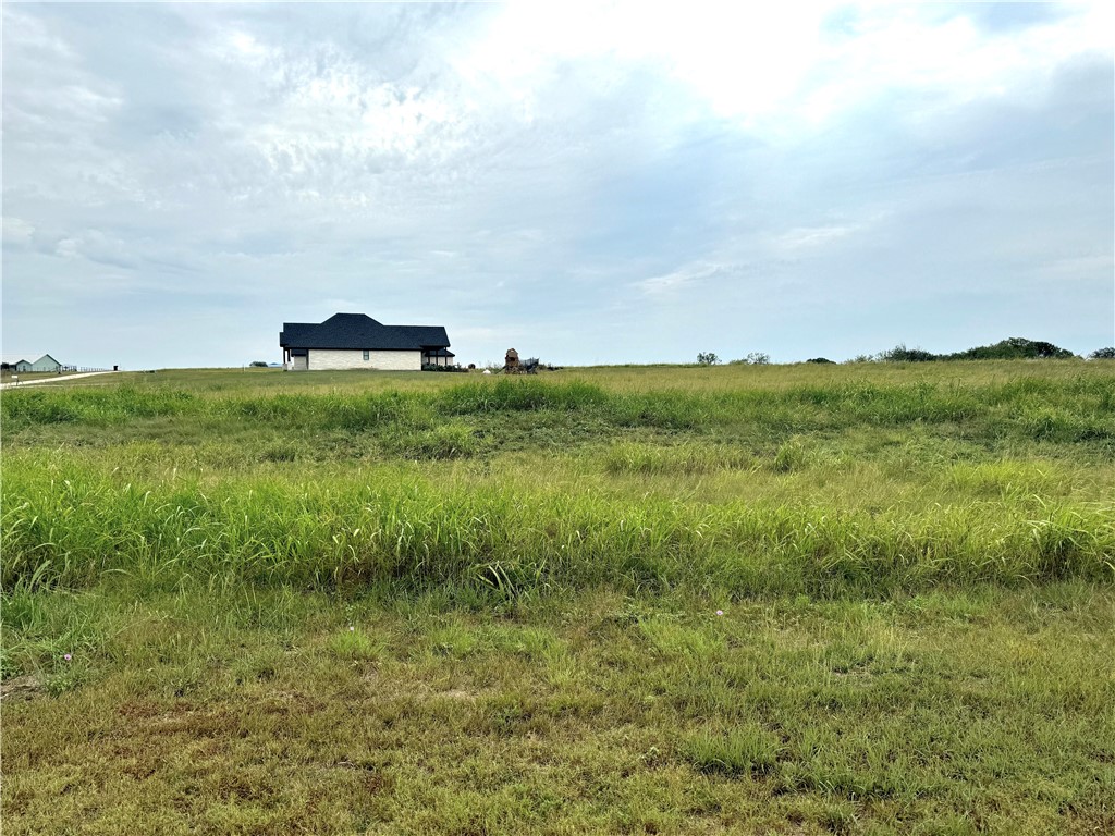 000 Mockingbird Drive, Mount Calm, Texas image 7