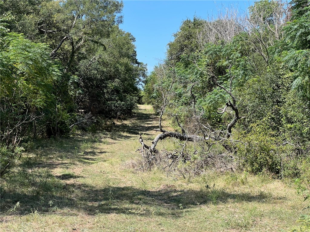 1588 Orion Road, McGregor, Texas image 36