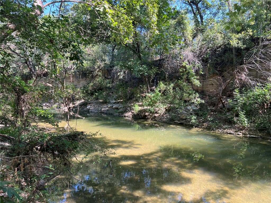 1588 Orion Road, McGregor, Texas image 9