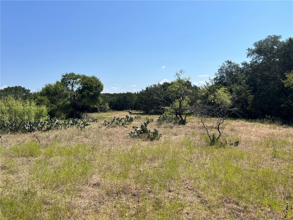 1588 Orion Road, McGregor, Texas image 41