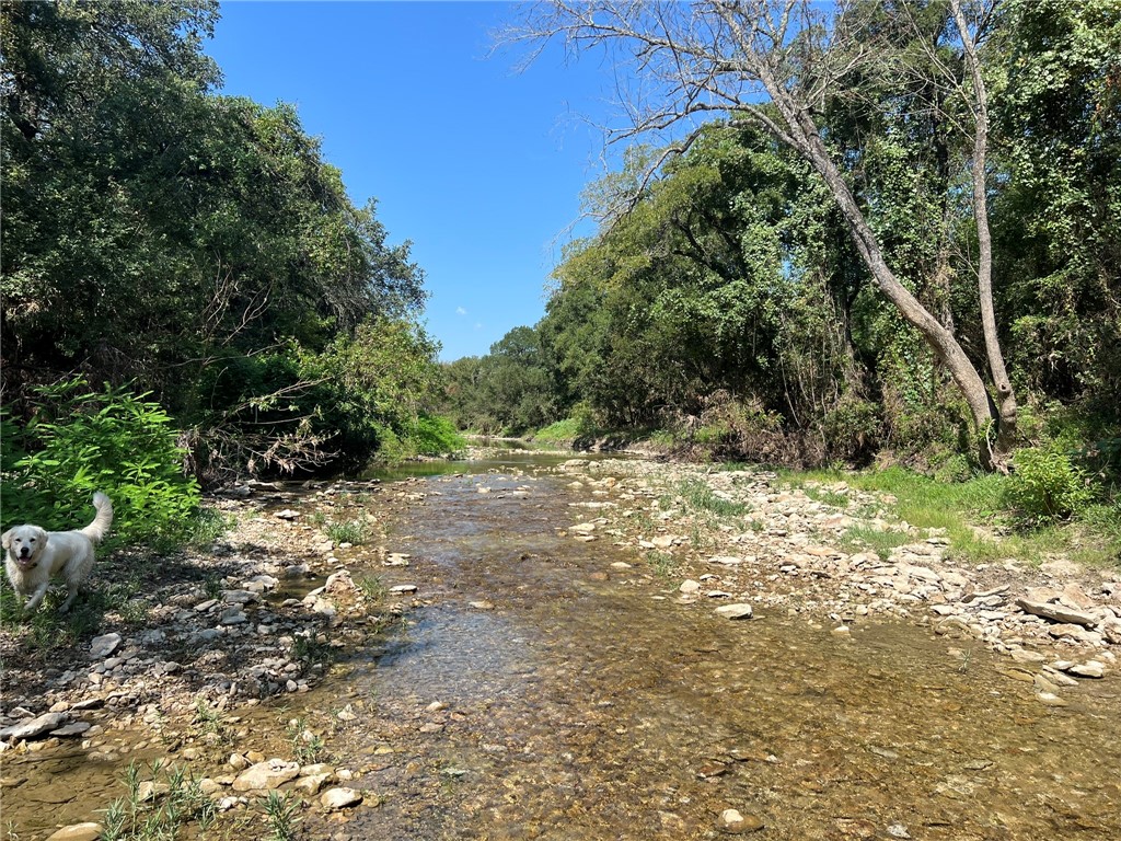 1588 Orion Road, McGregor, Texas image 3