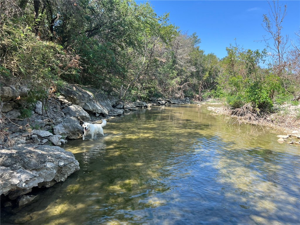 1588 Orion Road, McGregor, Texas image 30