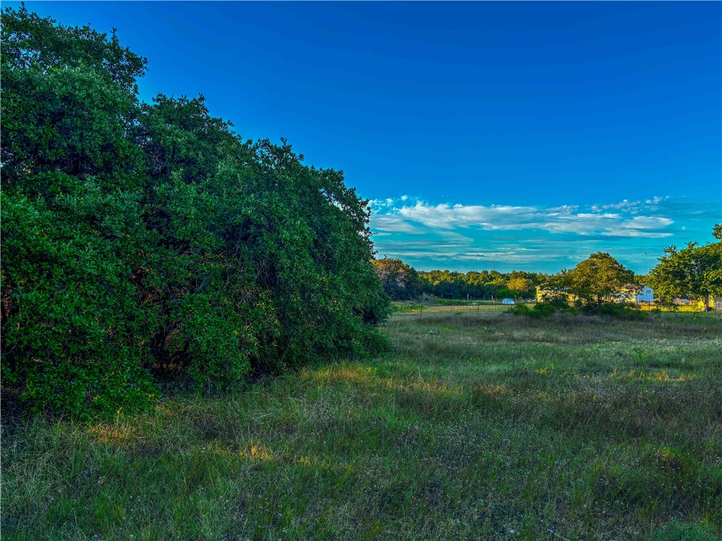 601 Phillip Lane, Liberty Hill, Texas image 38