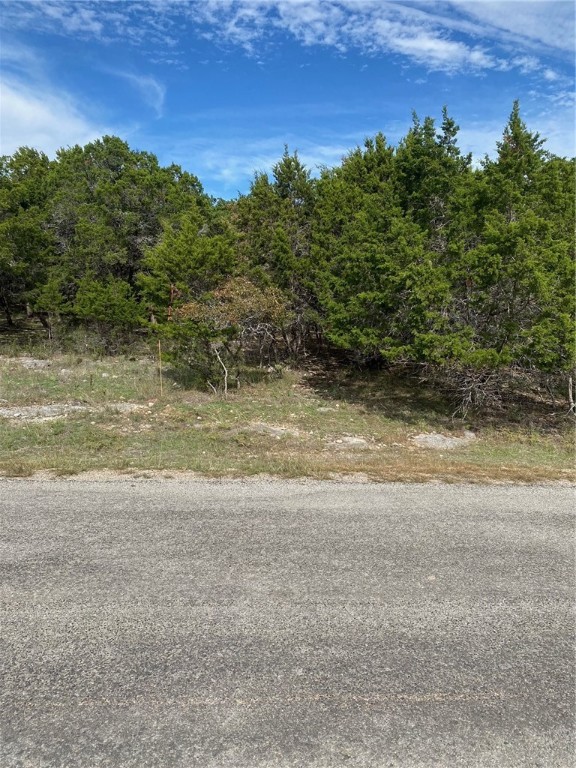 15950 Brazos Drive, Temple, Texas image 2