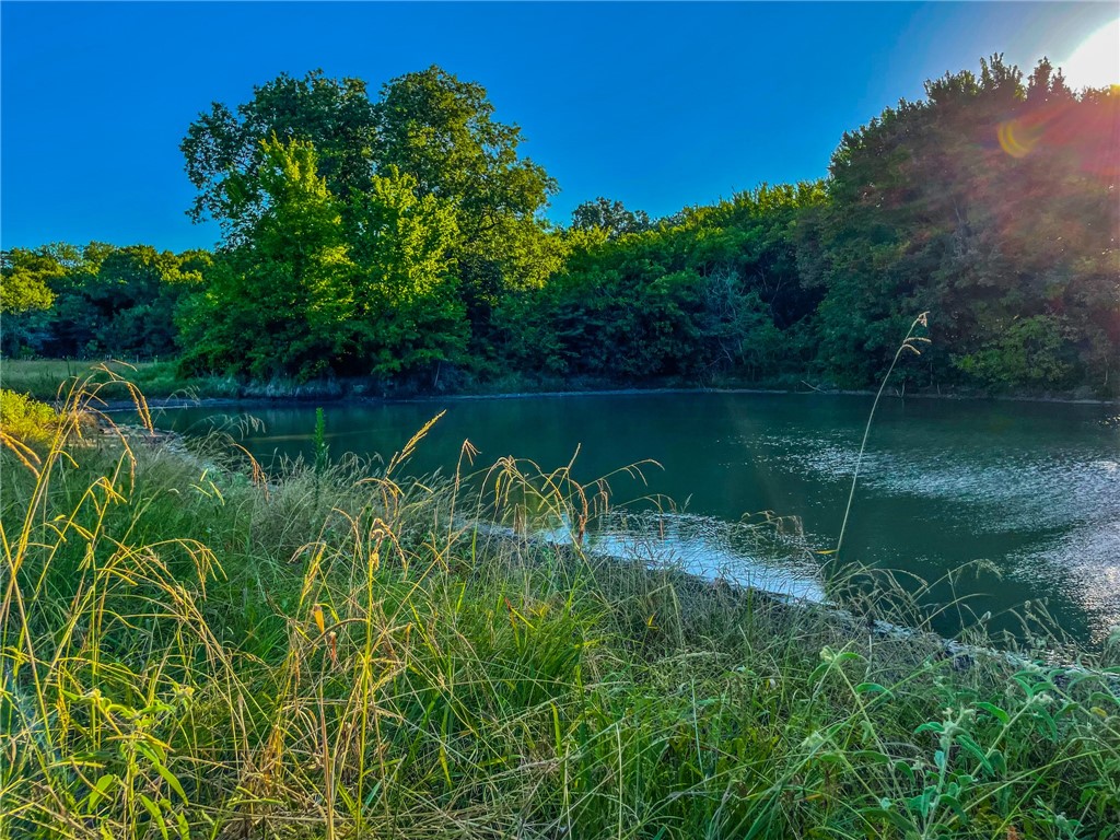 1522 Lcr 177 Road, Hubbard, Texas image 39