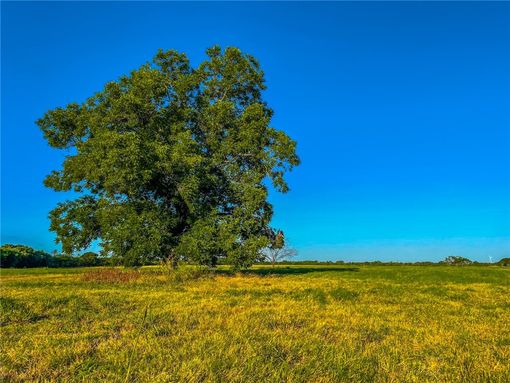 1522 Lcr 177 Road, Hubbard, Texas image 40