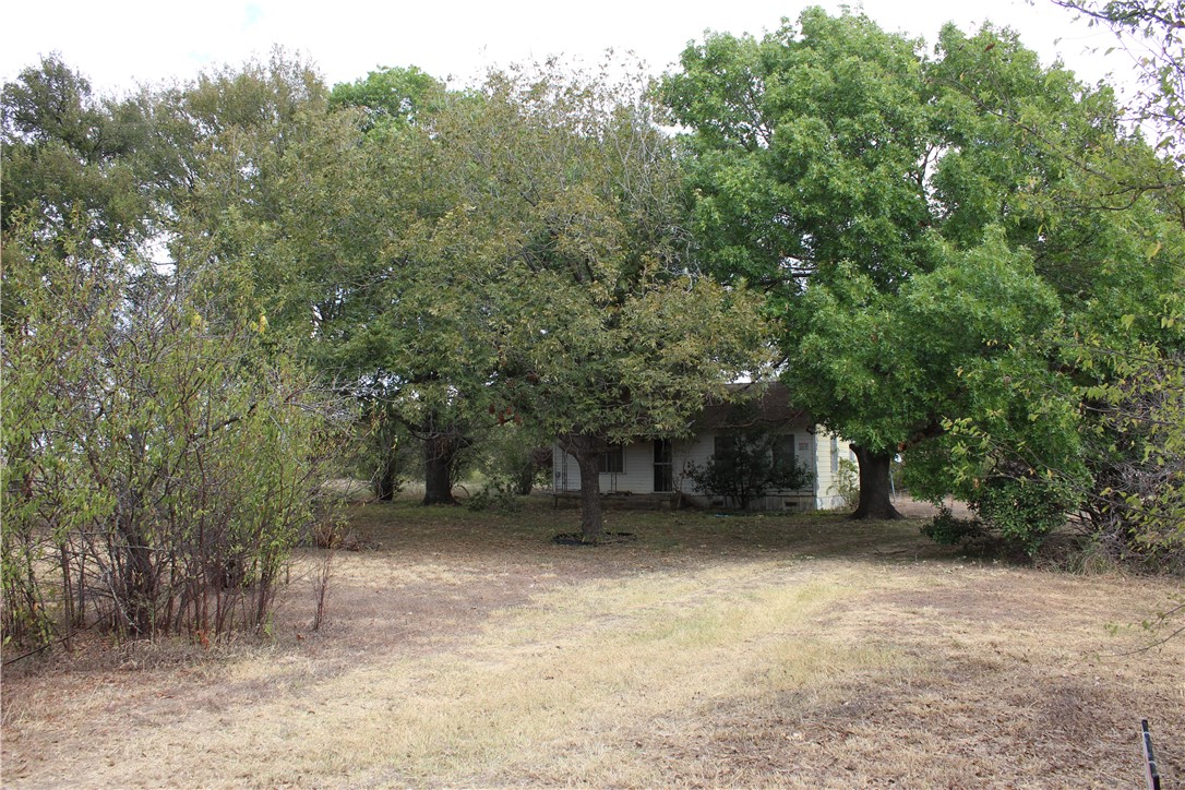 727 Davis Road, Bruceville-Eddy, Texas image 7
