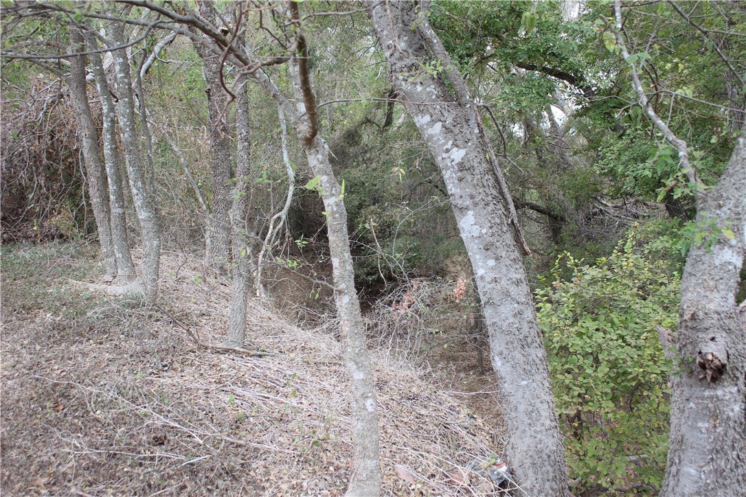 727 Davis Road, Bruceville-Eddy, Texas image 14
