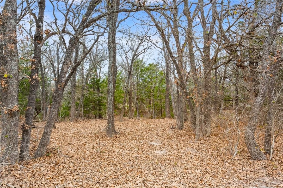 1879 Longhorn Parkway, Axtell, Texas image 12