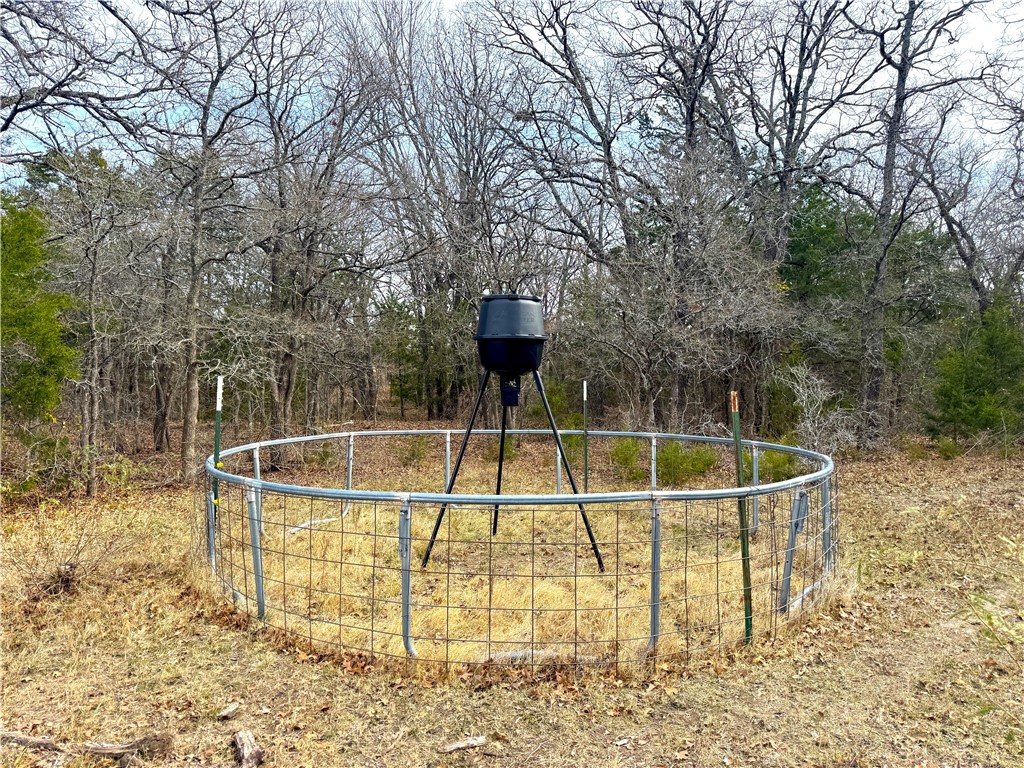 1879 Longhorn Parkway, Axtell, Texas image 26