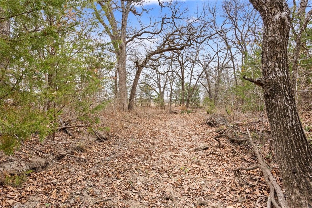 1879 Longhorn Parkway, Axtell, Texas image 13