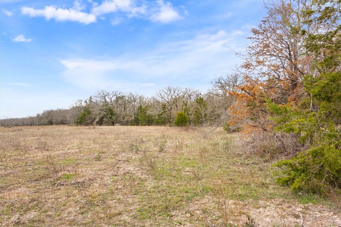 1879 Longhorn Parkway, Axtell, Texas image 11