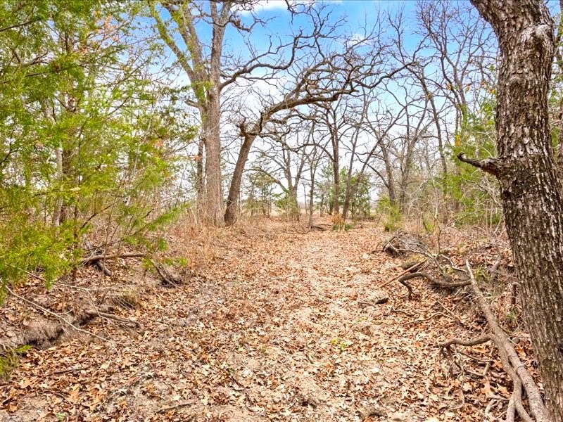 1879 Longhorn Parkway, Axtell, Texas image 28