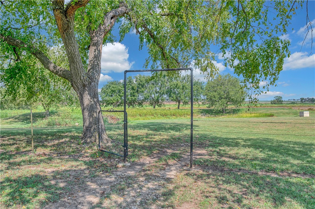 443 Rost Road, McGregor, Texas image 40