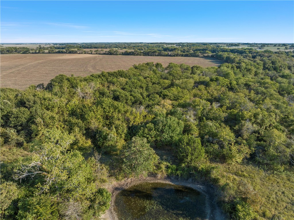 TBD State Hwy 22, Hillsboro, Texas image 26