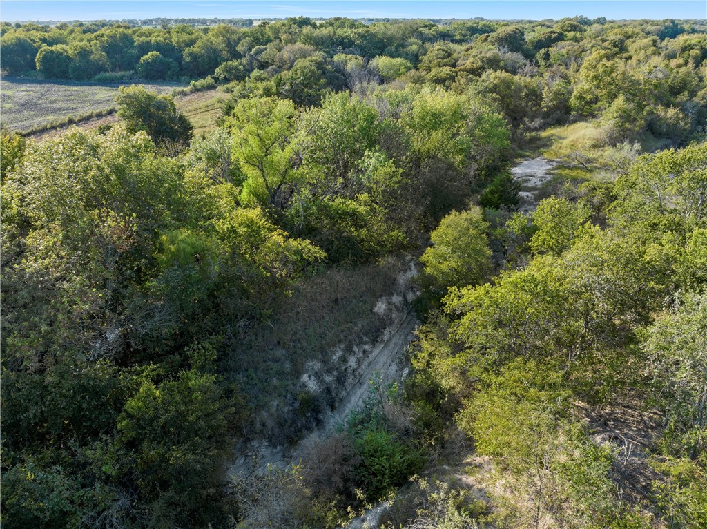 TBD State Hwy 22, Hillsboro, Texas image 7