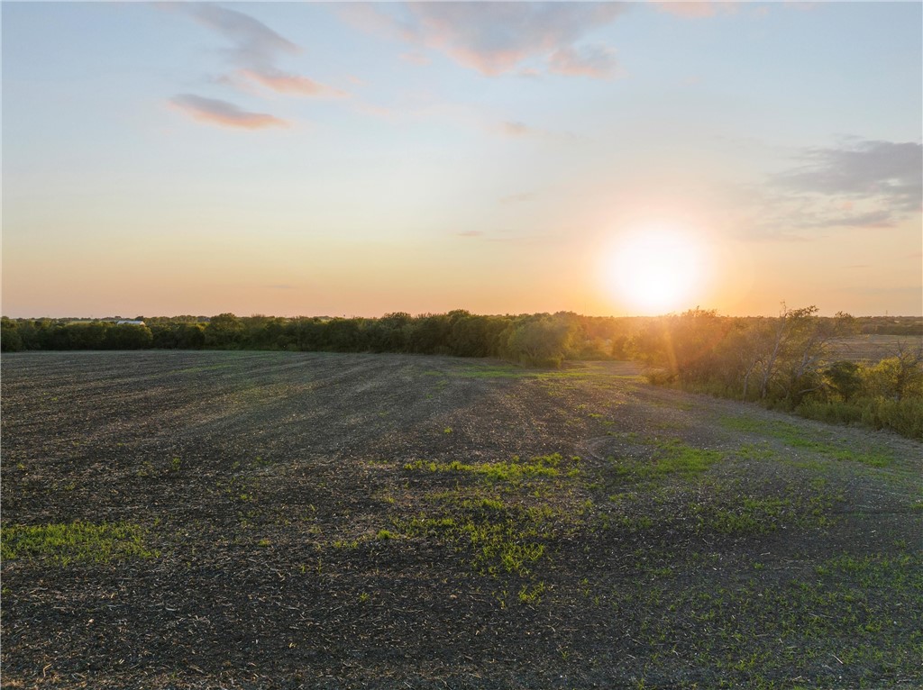 TBD State Hwy 22, Hillsboro, Texas image 15