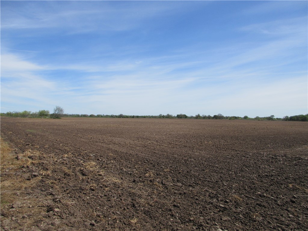 Cr 176 Road, Marlin, Texas image 6