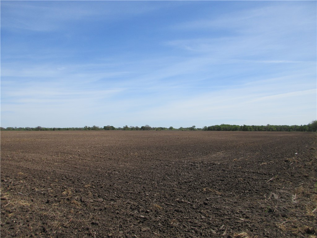 Cr 176 Road, Marlin, Texas image 5