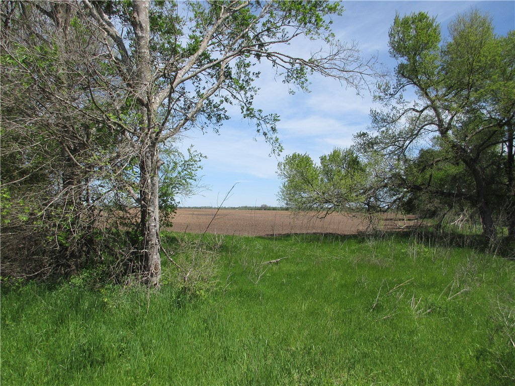 Cr 176 Road, Marlin, Texas image 2