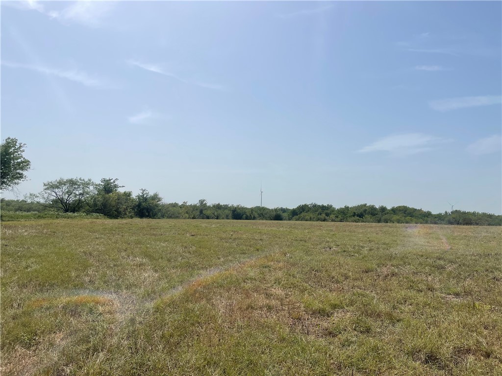 Lot 8 Fm 339, Mount Calm, Texas image 8