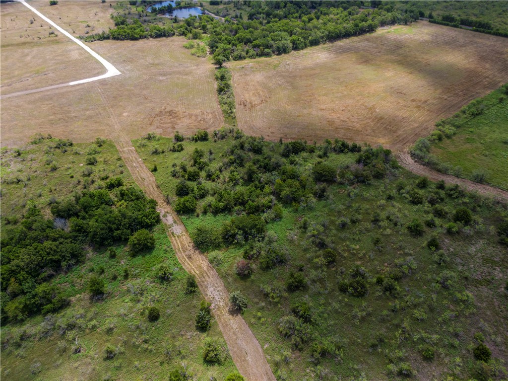 Lot 8 Fm 339, Mount Calm, Texas image 6