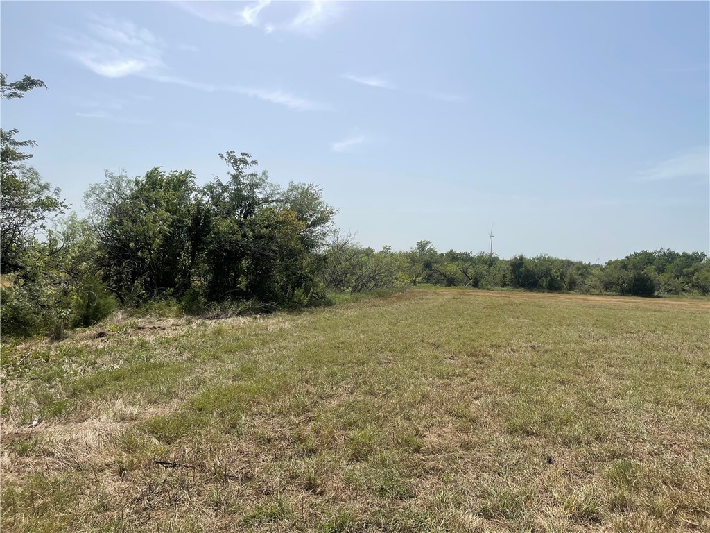 Lot 8 Fm 339, Mount Calm, Texas image 9