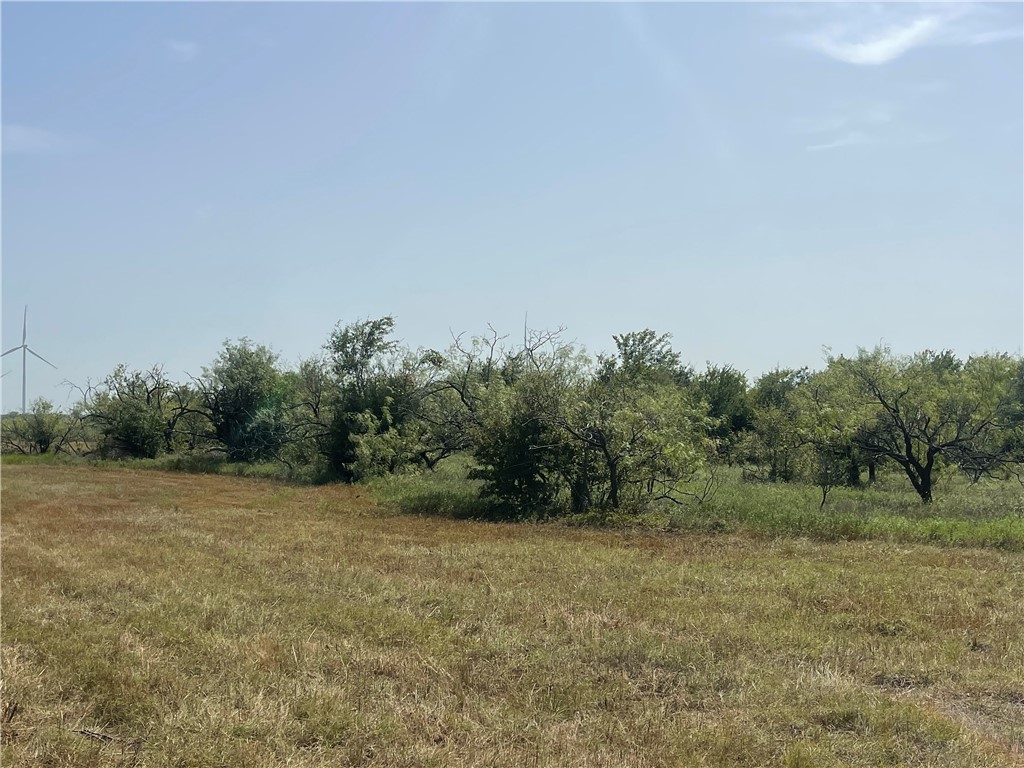 Lot 8 Fm 339, Mount Calm, Texas image 17