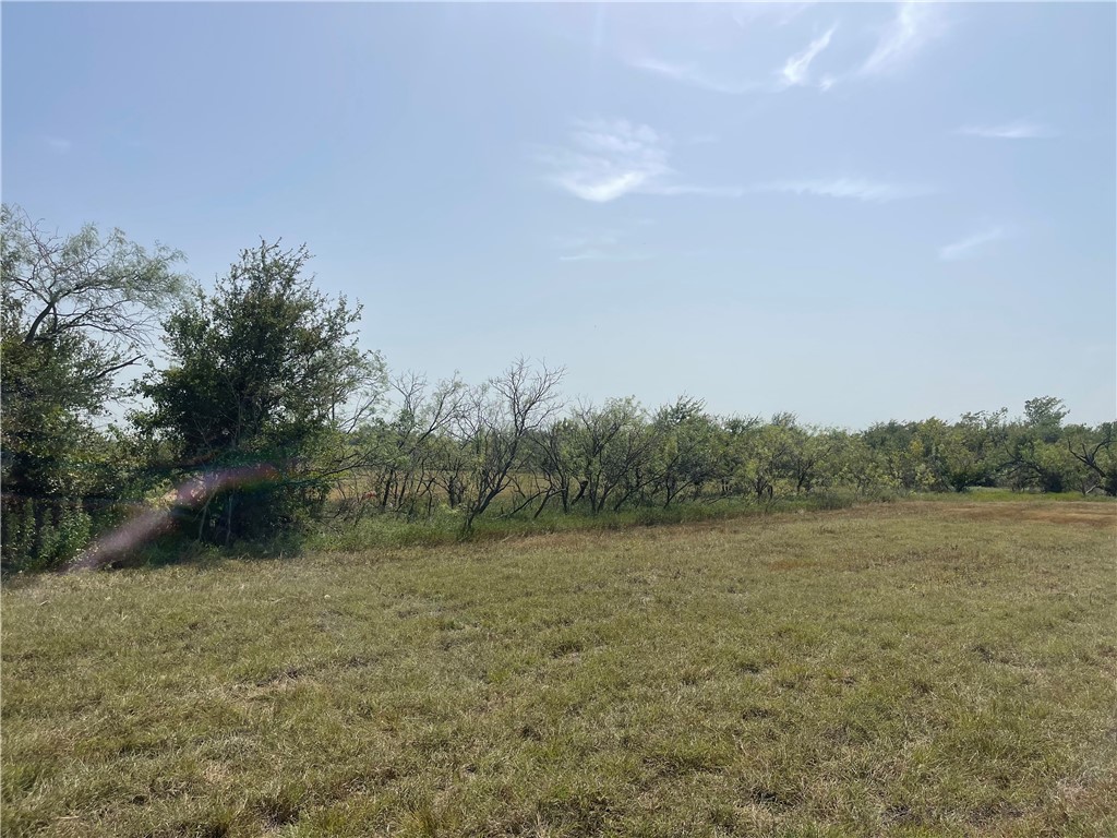 Lot 8 Fm 339, Mount Calm, Texas image 13