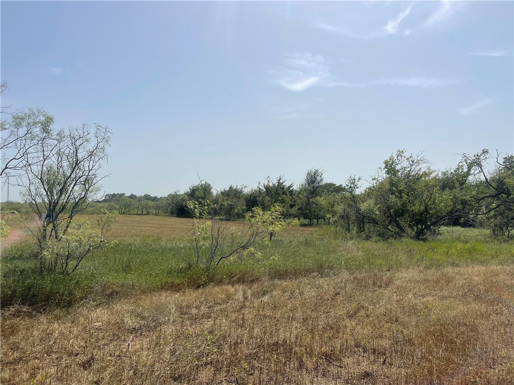 Lot 8 Fm 339, Mount Calm, Texas image 14