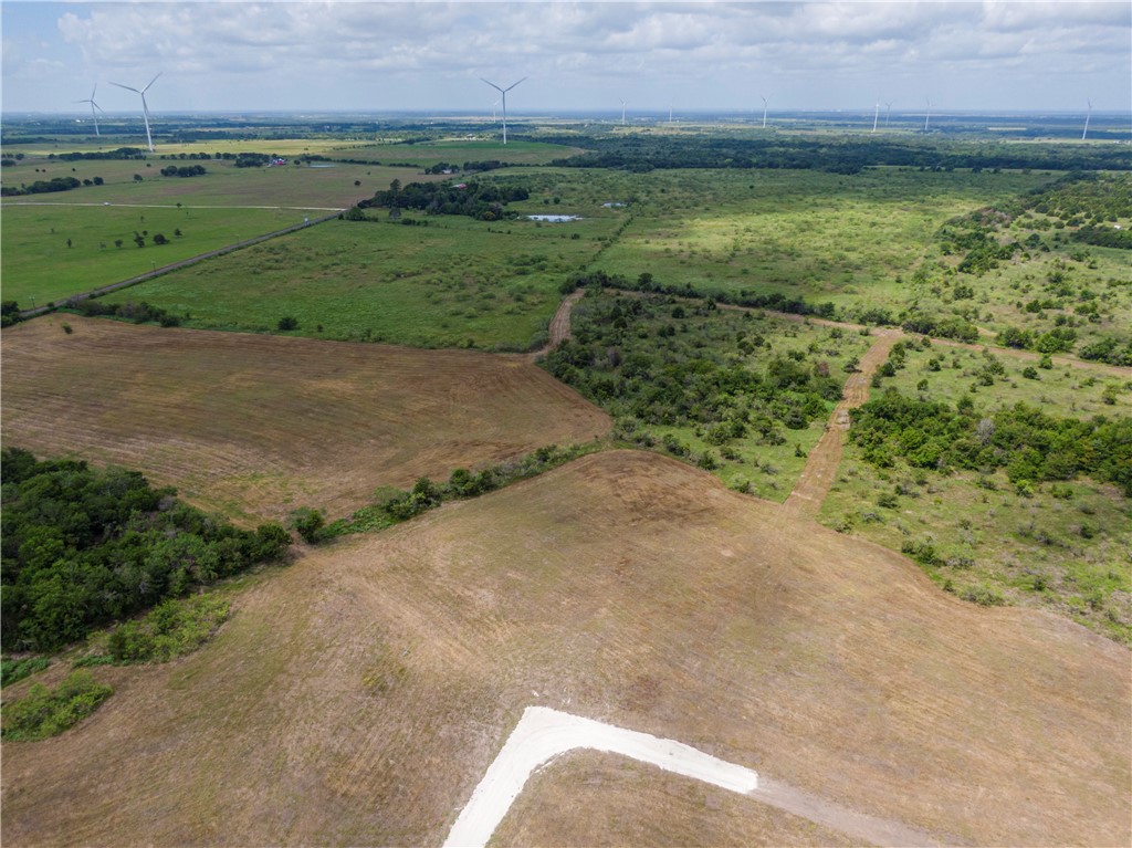 Lot 8 Fm 339, Mount Calm, Texas image 3