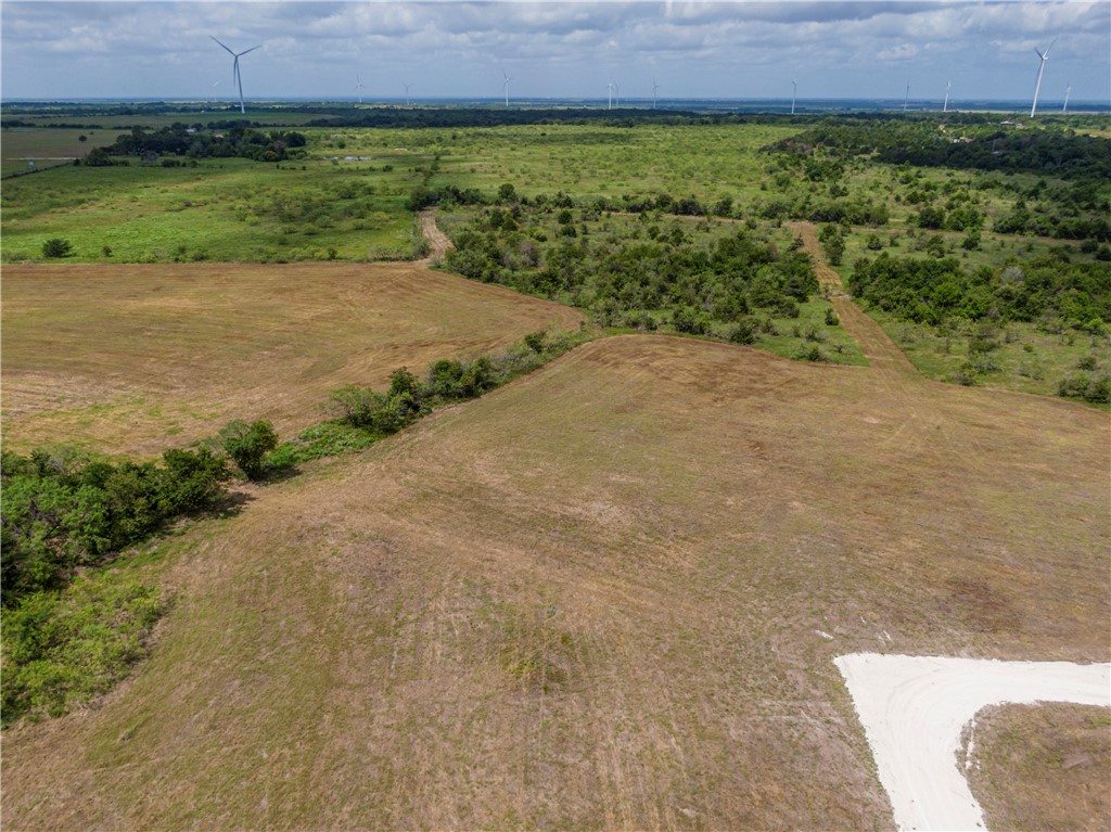 Lot 8 Fm 339, Mount Calm, Texas image 2