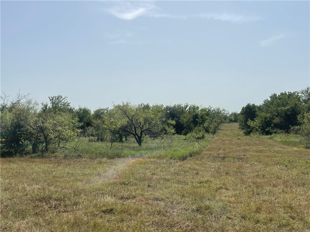 Lot 8 Fm 339, Mount Calm, Texas image 18