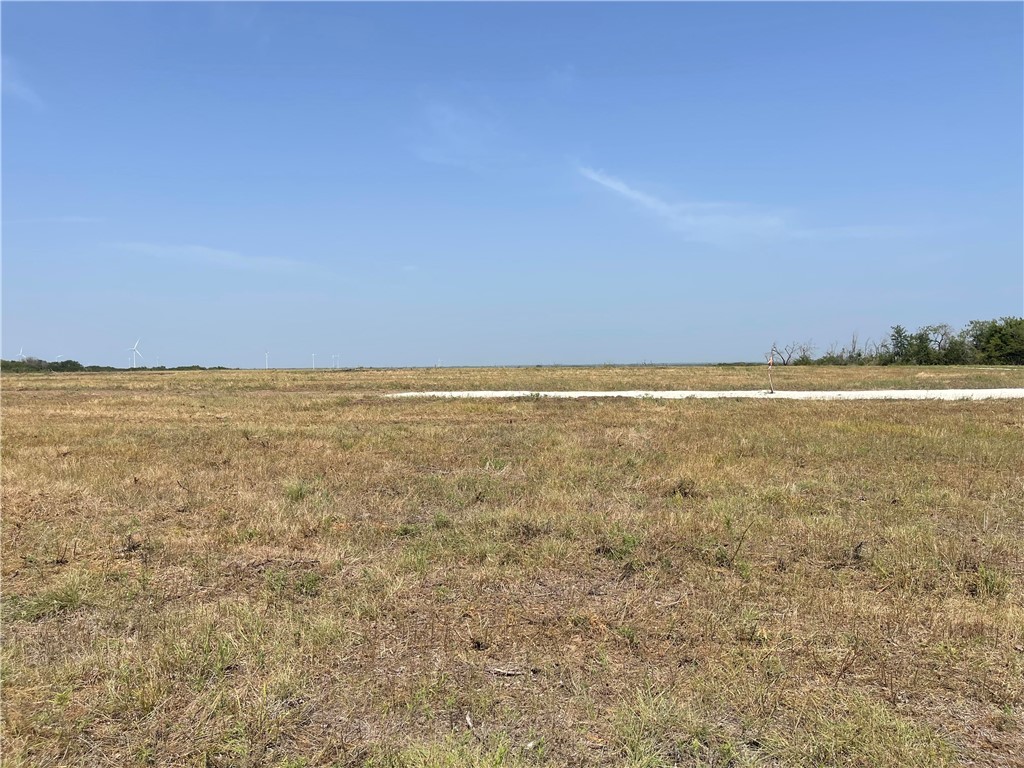 Lot 8 Fm 339, Mount Calm, Texas image 23