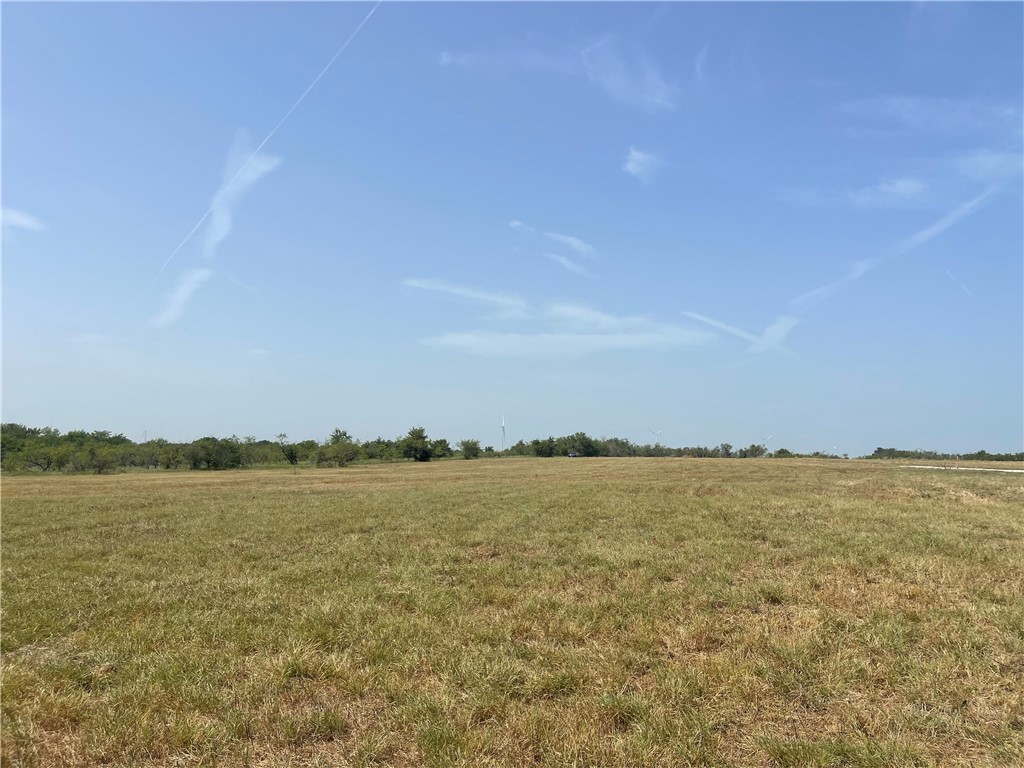 Lot 8 Fm 339, Mount Calm, Texas image 11