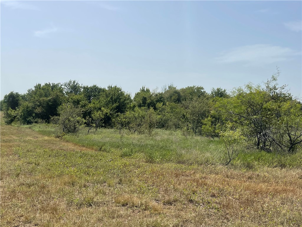 Lot 8 Fm 339, Mount Calm, Texas image 20