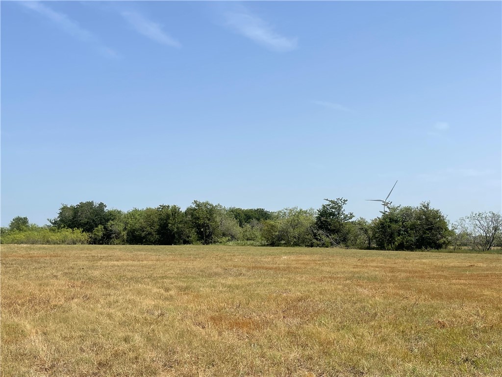 Lot 8 Fm 339, Mount Calm, Texas image 19