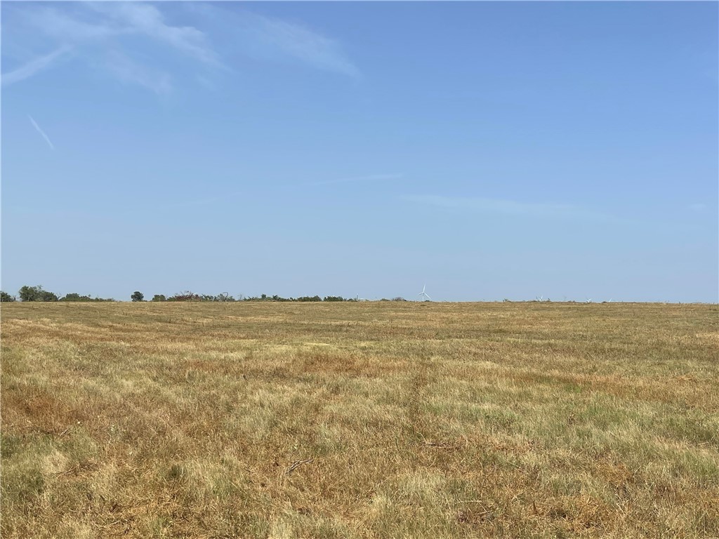 Lot 8 Fm 339, Mount Calm, Texas image 22